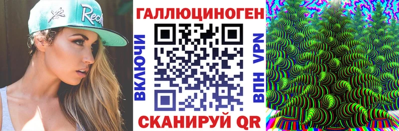 Галлюциногенные грибы Psilocybe  где найти   Суворов 